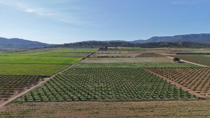 Land for sale