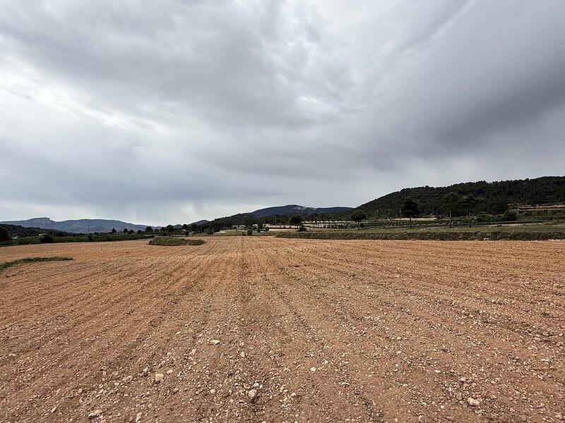 Land Te koop in Culebron, Alicante