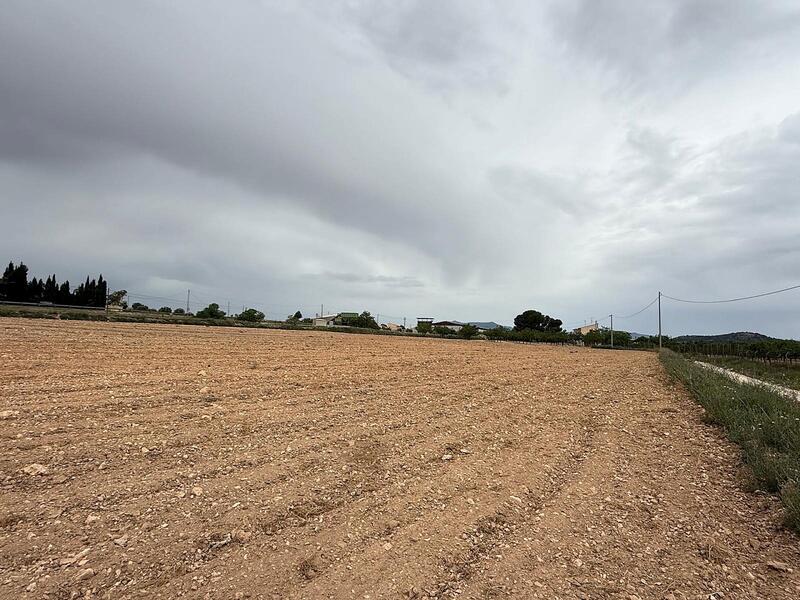 Land for sale