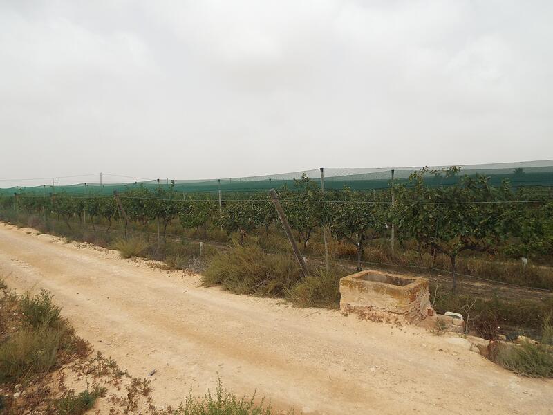 Land for sale
