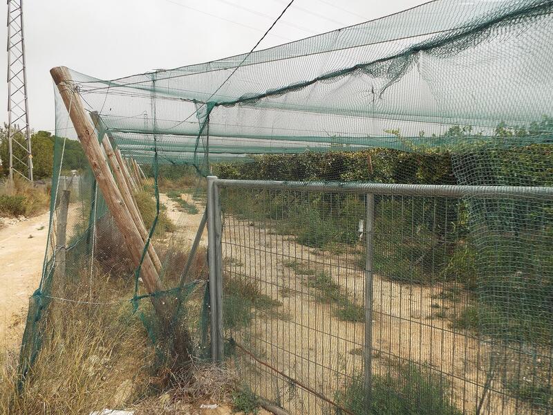 Land for sale
