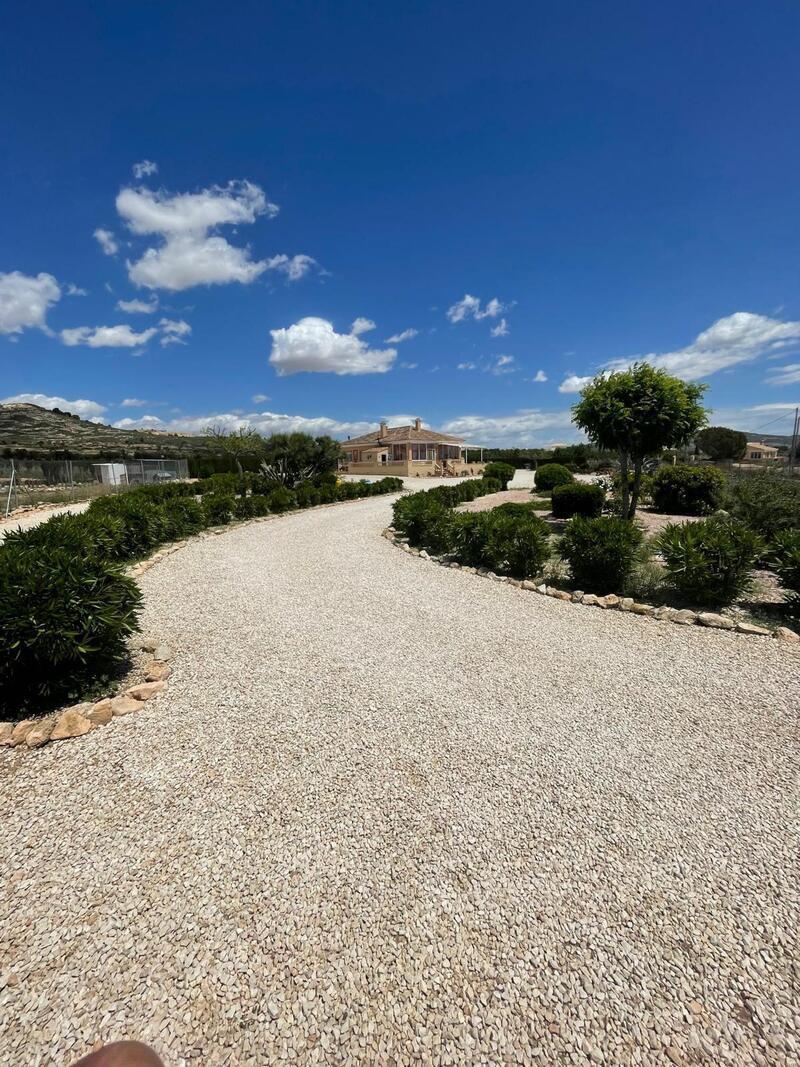 4 chambre Villa à vendre