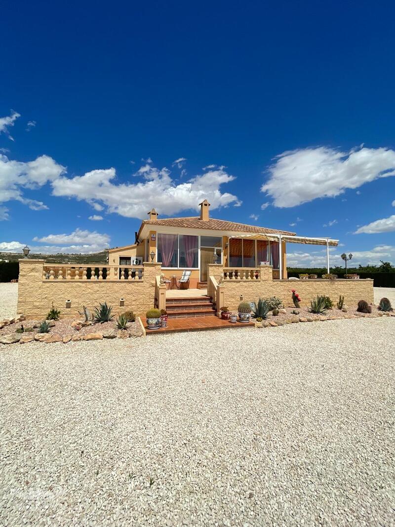 Villa en venta en Pinoso, Alicante