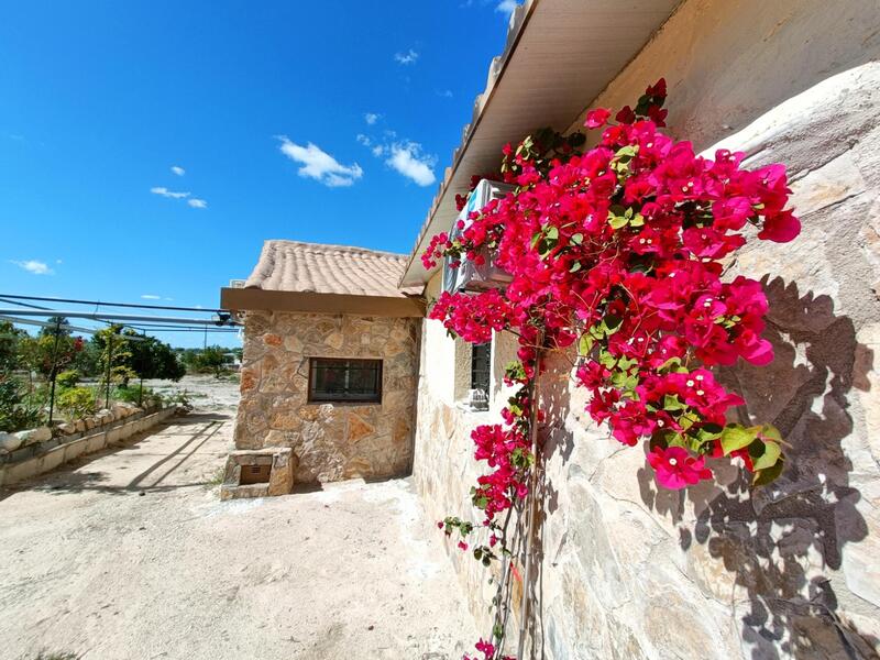 3 chambre Villa à vendre