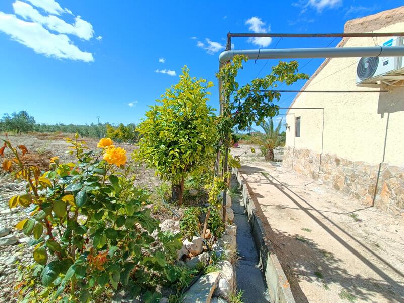 3 chambre Villa à vendre