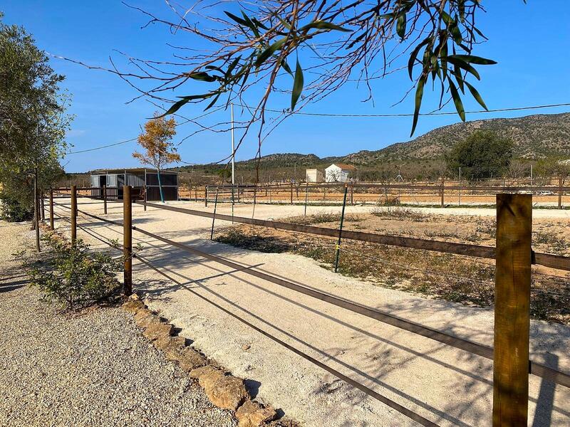 4 chambre Villa à vendre