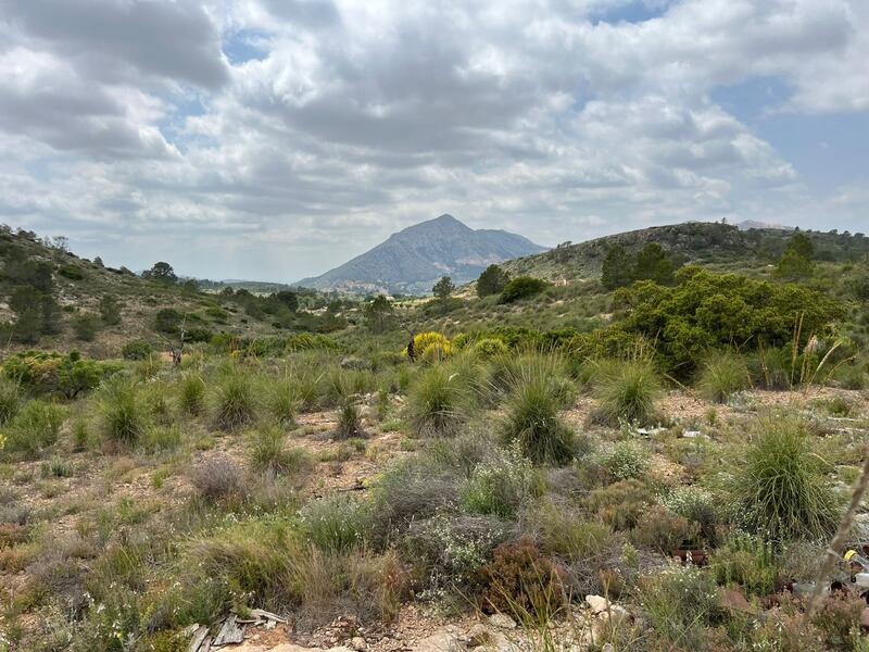 земля продается в Hondon de las Nieves, Alicante