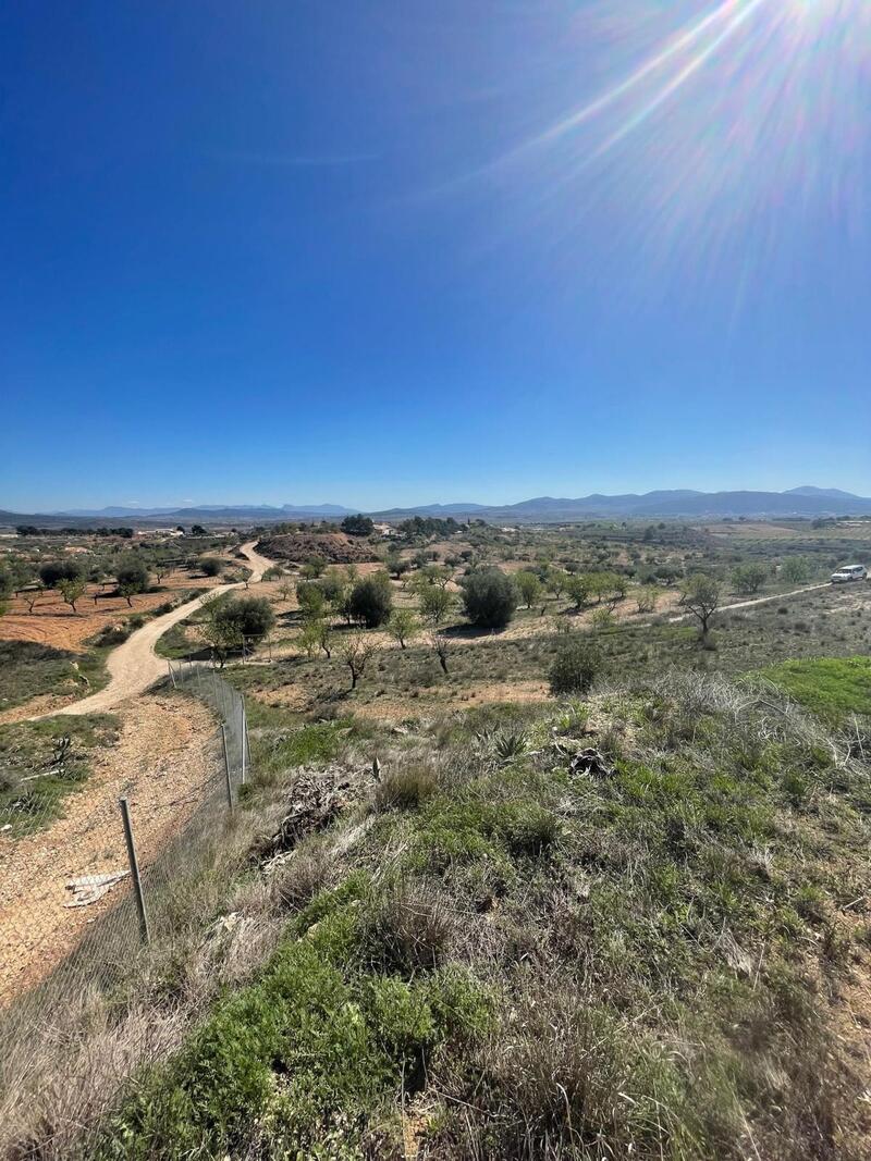 3 Cuarto Casa Cueva en venta en Raspay, Murcia