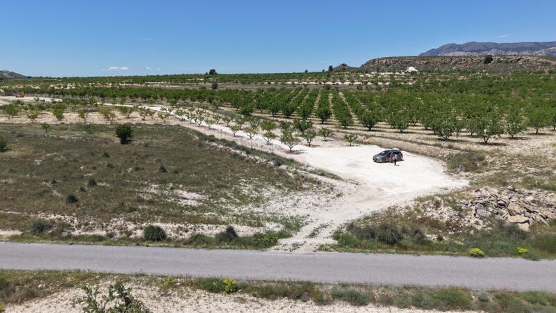 Land Te koop Land Te koop