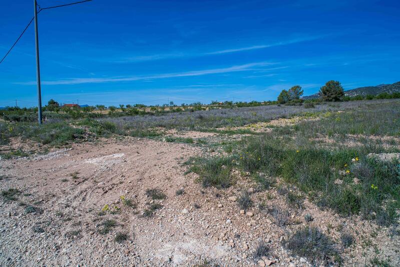 Land for sale Land for sale
