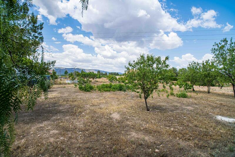 Land for sale Land for sale