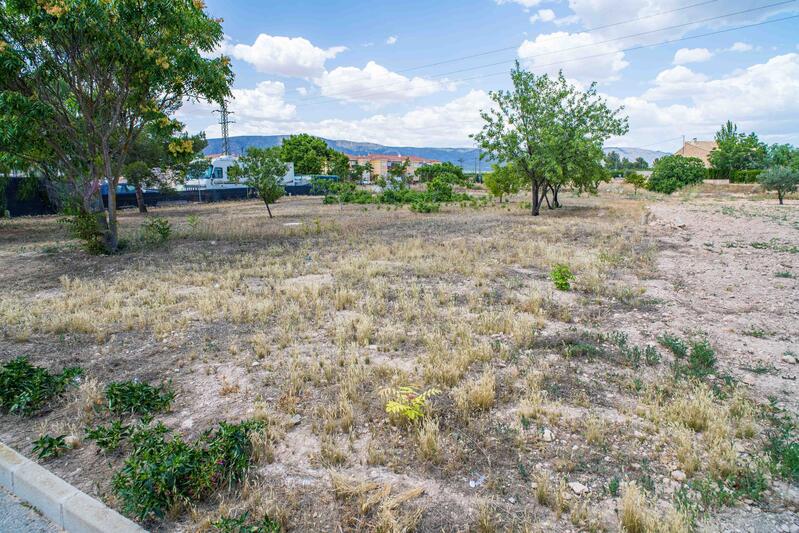 Land for sale Land for sale