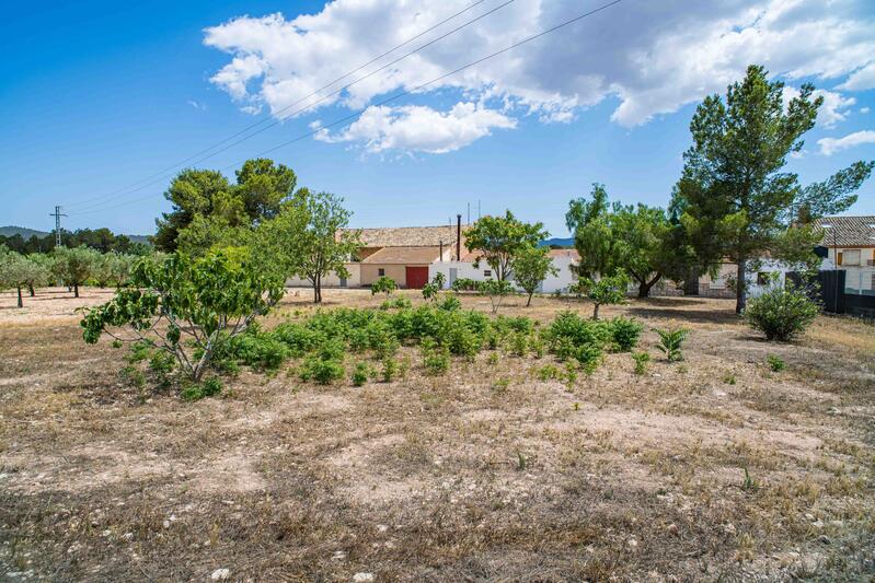 Land for sale Land for sale