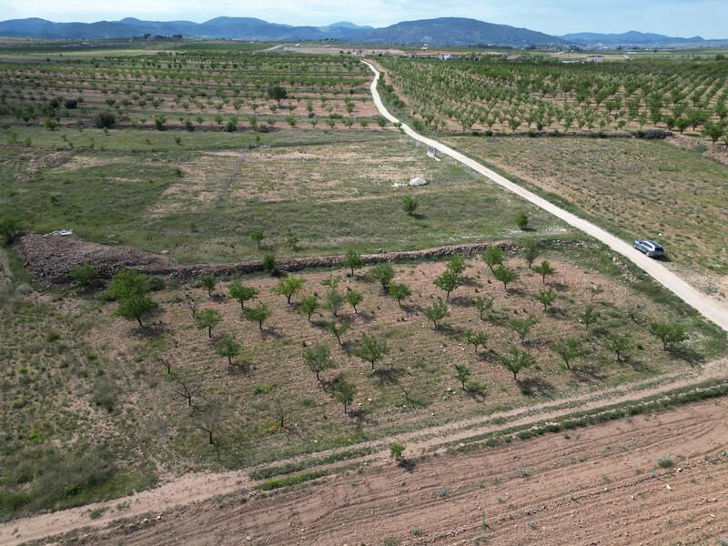 Terrenos en venta en Pinoso, Alicante