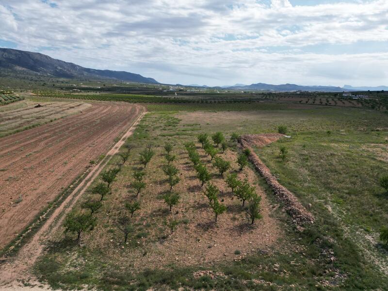 Terrenos en venta Terrenos en venta