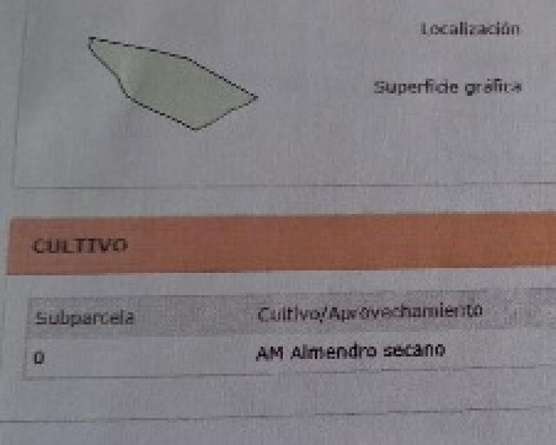 Terrenos en venta