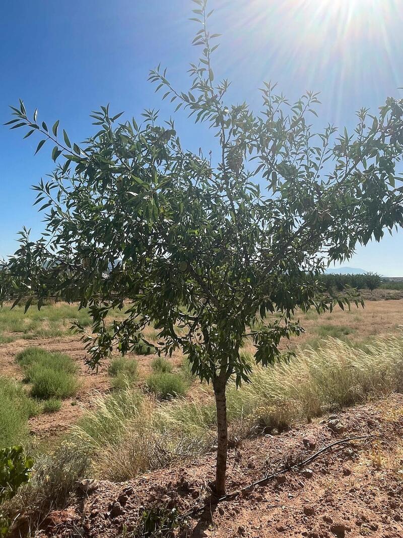 Terrenos en venta