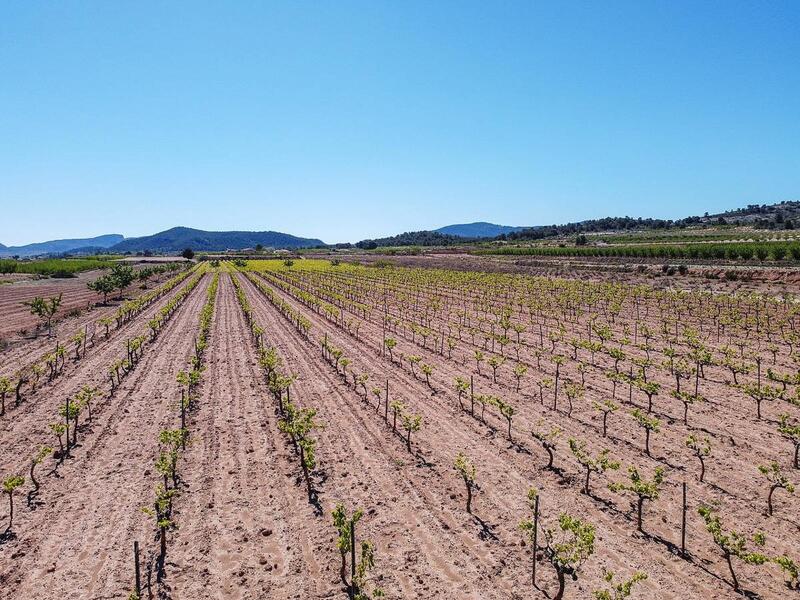 Terrenos en venta