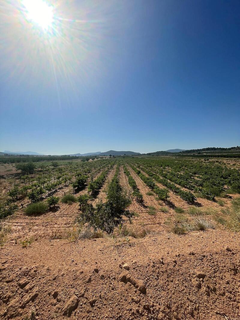 Terrenos en venta