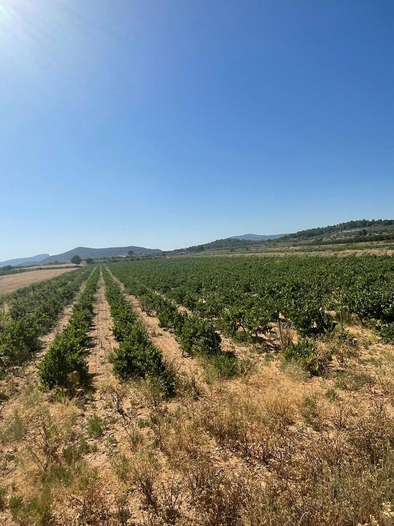Land for sale Land for sale