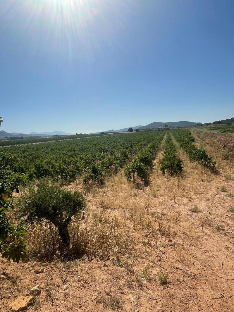 Land for sale Land for sale