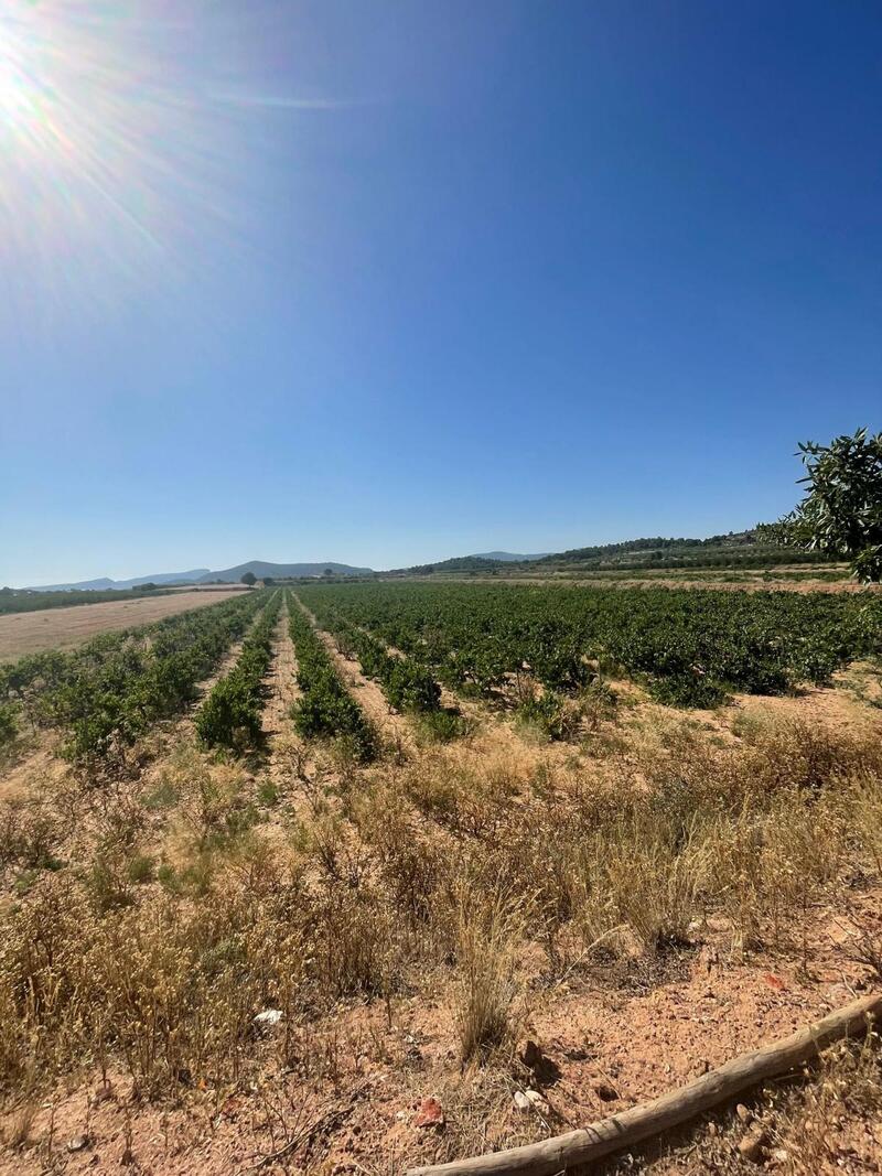 Land for sale Land for sale