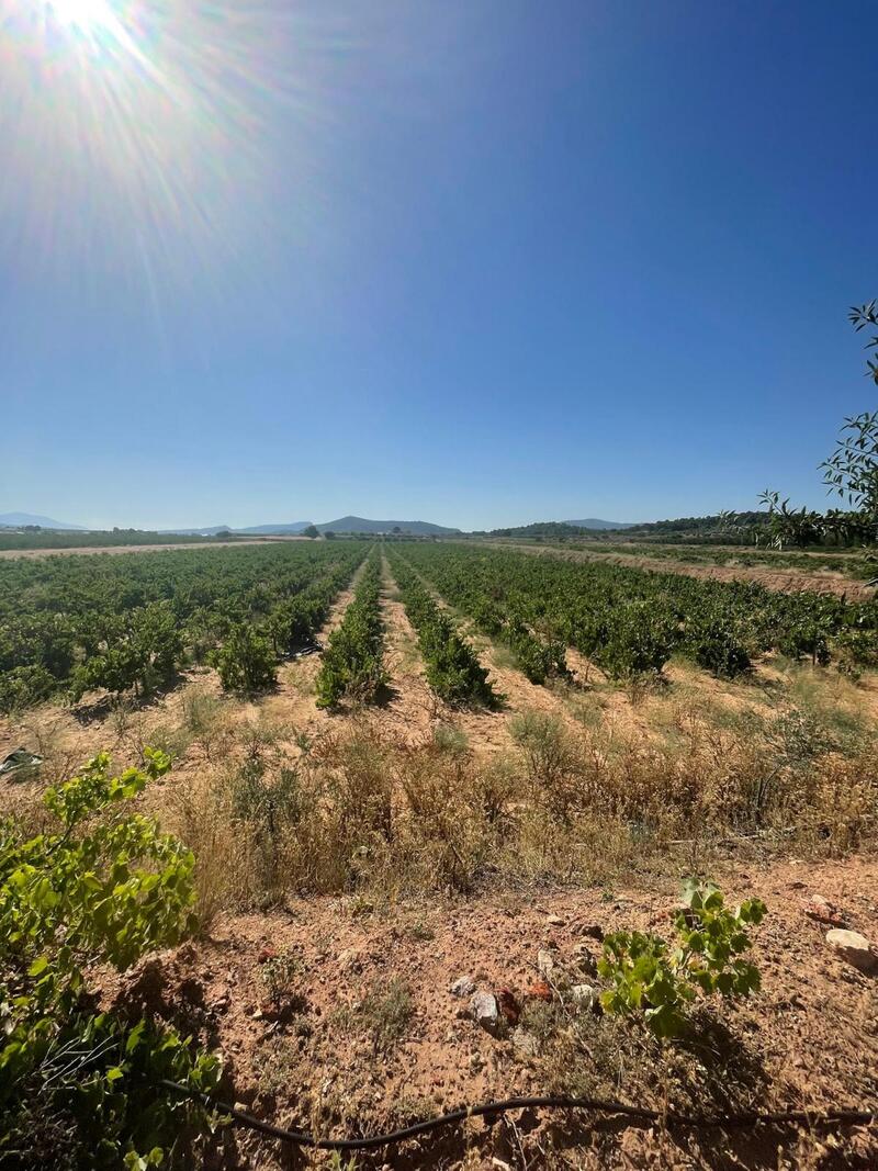 Land for sale Land for sale