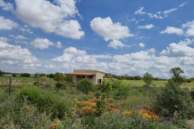 5 bedroom Commercial Property for sale 5 bedroom Commercial Property for sale