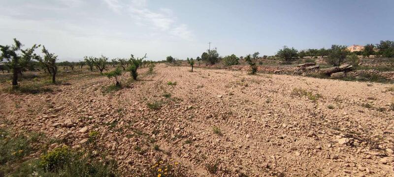 Country House for sale in Pinoso, Alicante