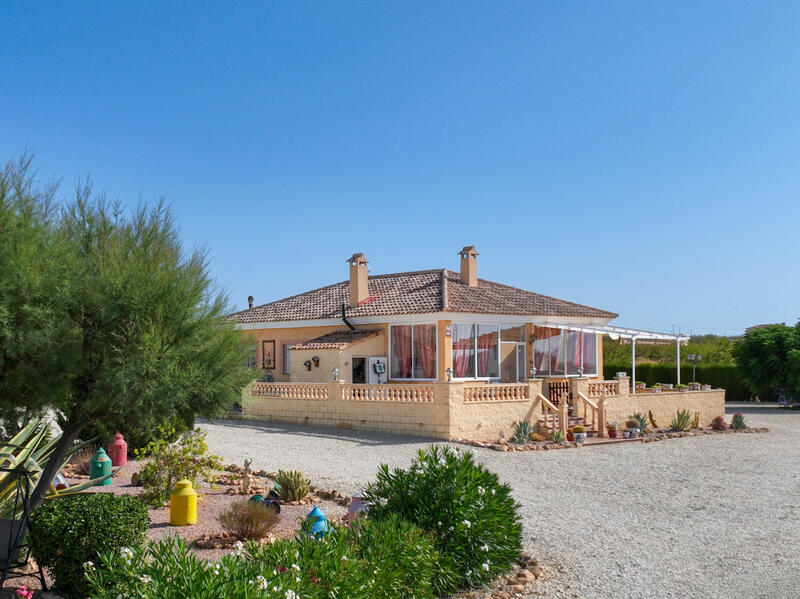 Villa Te koop in Pinoso, Alicante