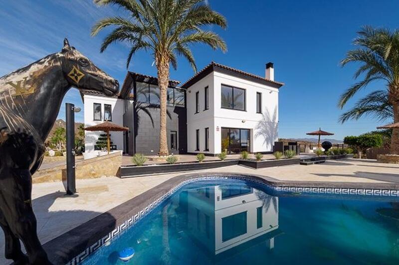 Villa for sale in Pilar de Jaravia, Almería
