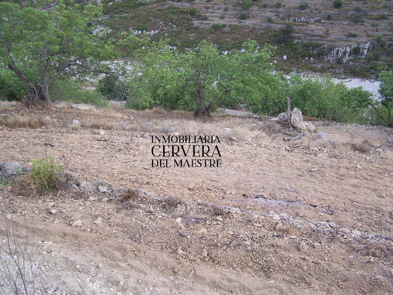 Grundstück zu verkaufen in Cervera del Maestre, Castellón