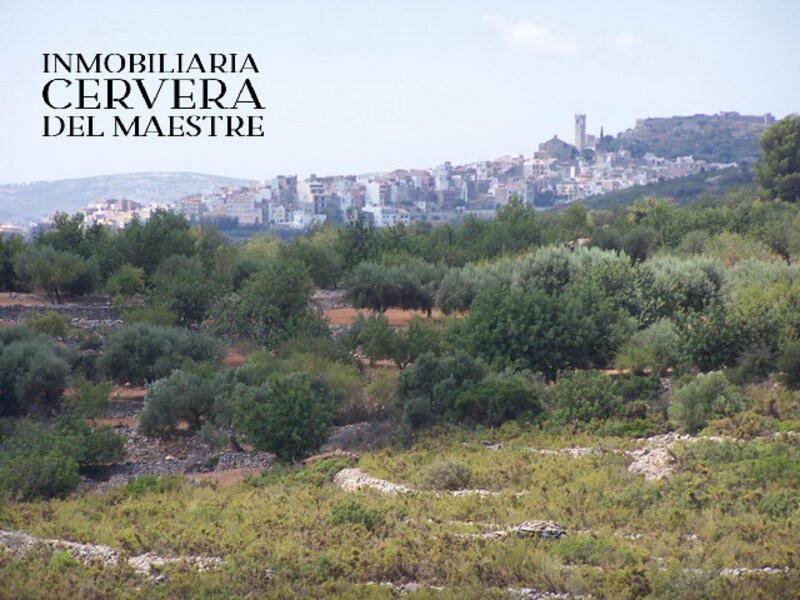 Land til salgs i Cervera del Maestre, Castellón