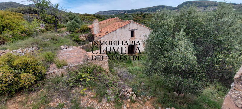 Jord til salg i Sierra Engarceran, Castellón