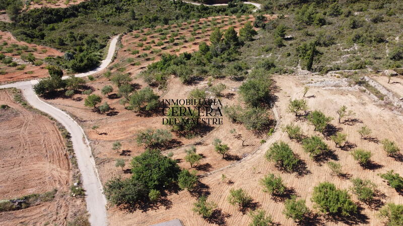 земля продается в Cervera del Maestre, Castellón