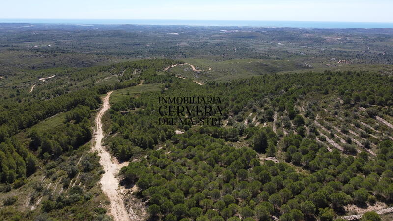 Land til salgs i Cervera del Maestre, Castellón