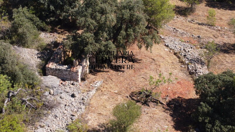 Terrenos en venta en Cervera del Maestre, Castellón