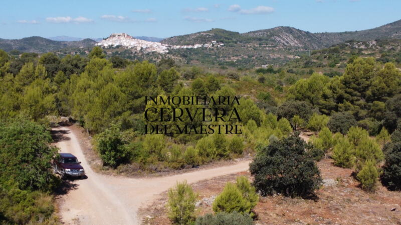 Grundstück zu verkaufen in Cervera del Maestre, Castellón