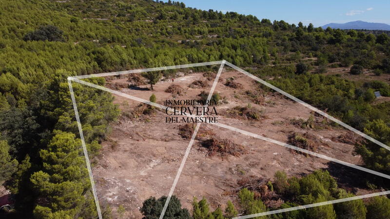 Land for sale in Cervera del Maestre, Castellón