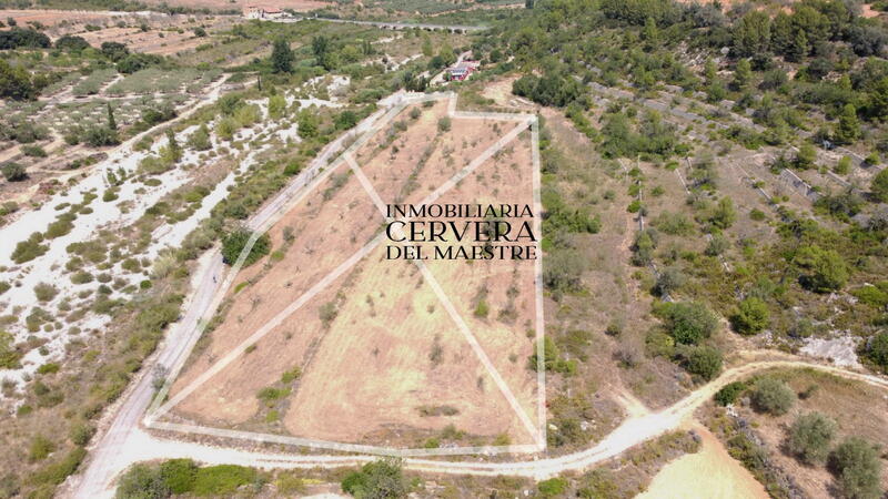 Terrenos en venta en Cervera del Maestre, Castellón