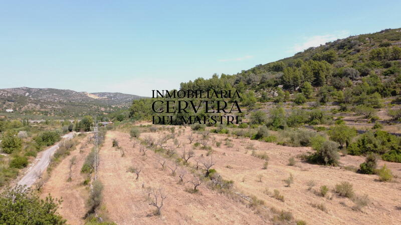 Land for sale