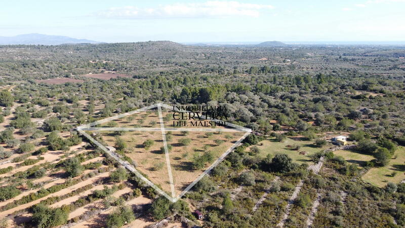 земля продается в Cervera del Maestre, Castellón