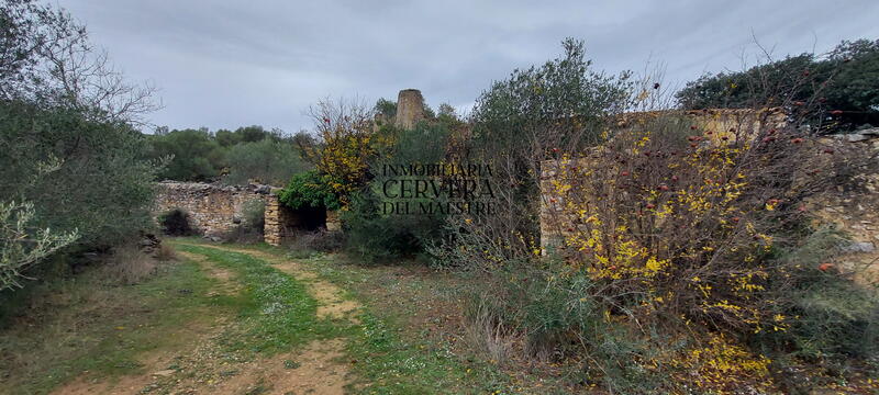 Auberge à vendre