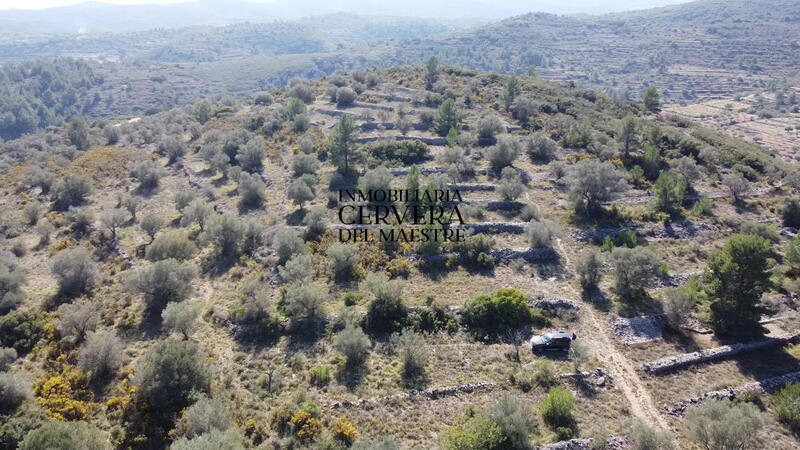 Grundstück zu verkaufen in Cervera del Maestre, Castellón