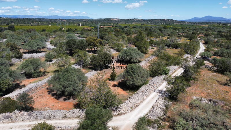 Terrain à vendre