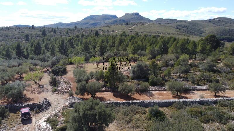 Auberge à vendre