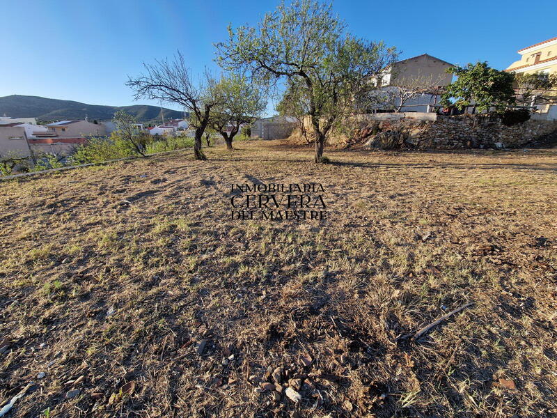 Land for sale