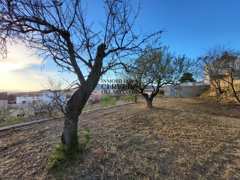 Land for sale