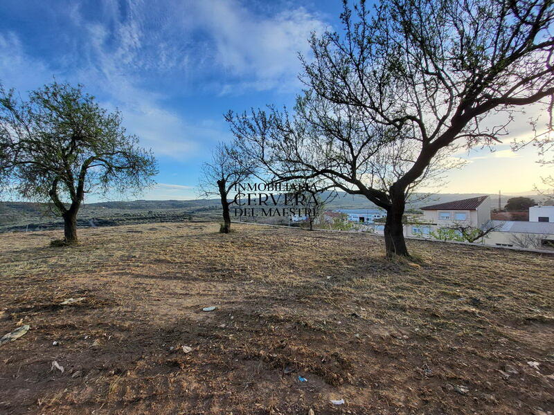 Land for sale