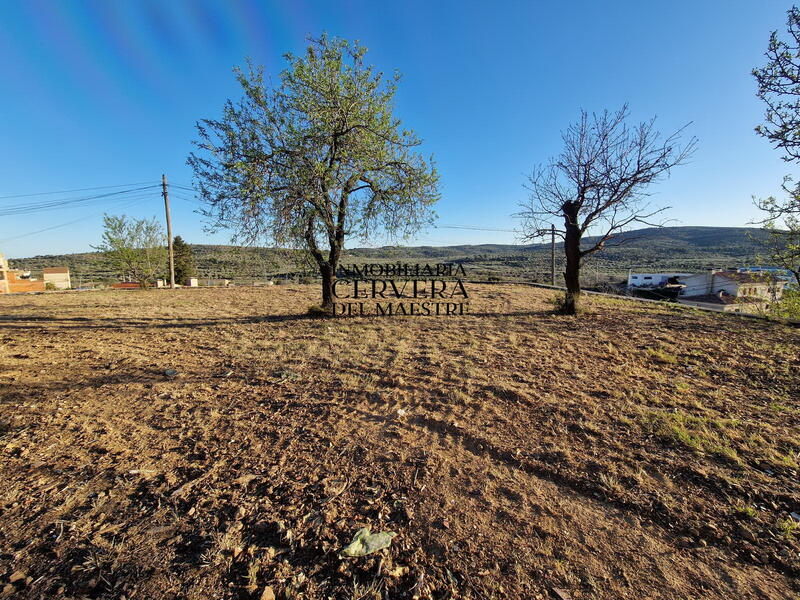 Land for sale